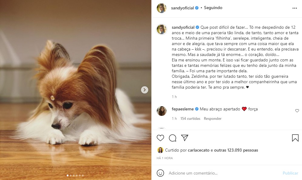 Sandy expôs sofrimento com a morte de sua cachorrinha de estimação (Foto: Reprodução/ Instagram)