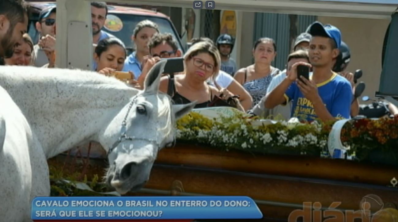 Cavalo emociona pessoas ao se despedir do dono durante sepultamento
