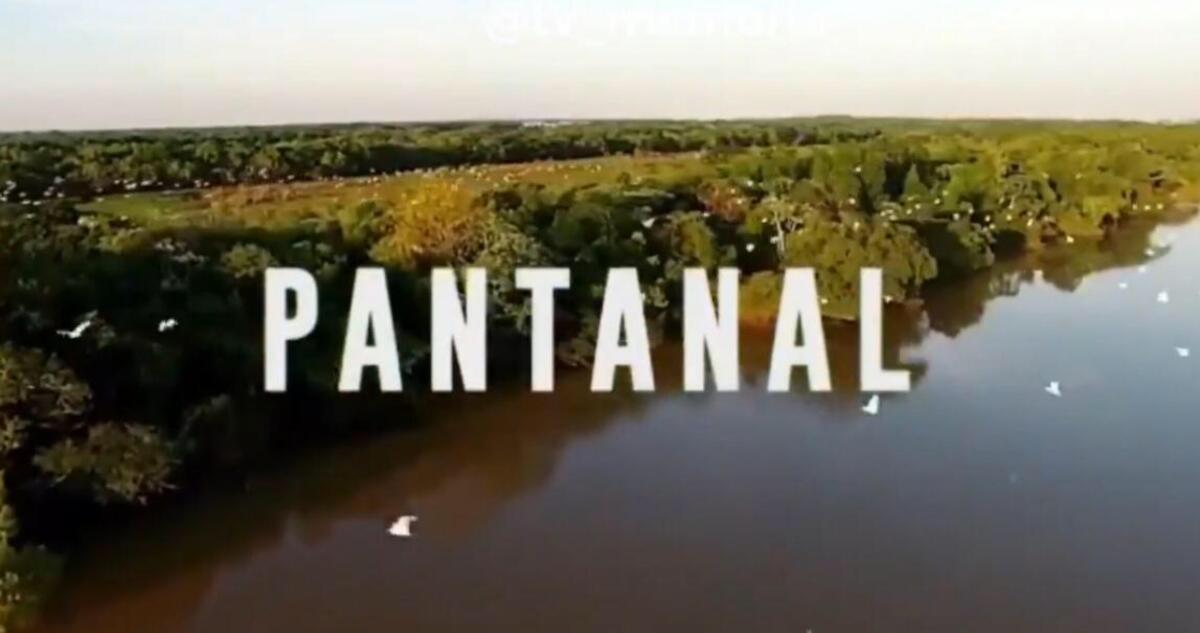 Globo Pantanal
