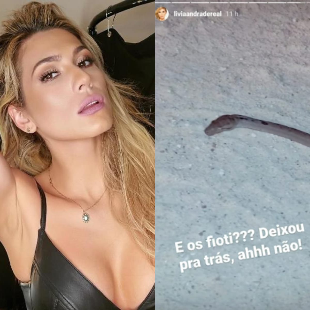 Lívia Andrade publica foto de cobra em seu Instagram (Foto: Reprodução)