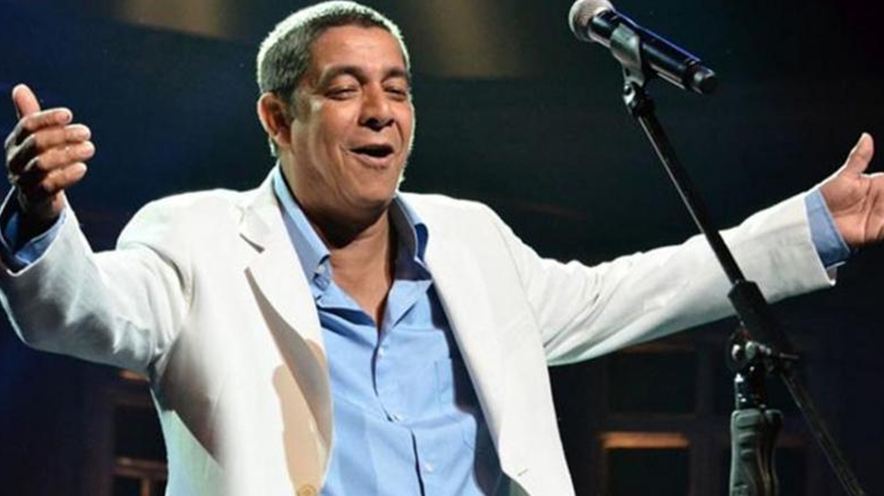 Zeca Pagodinho cantor (Foto: Reprodução)